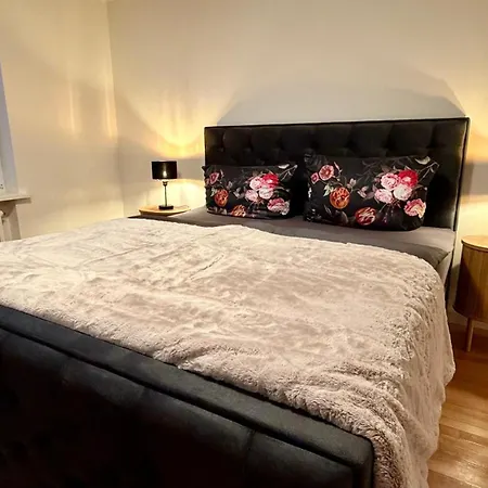 Sylter Seestern App Ankerplatz Sylt